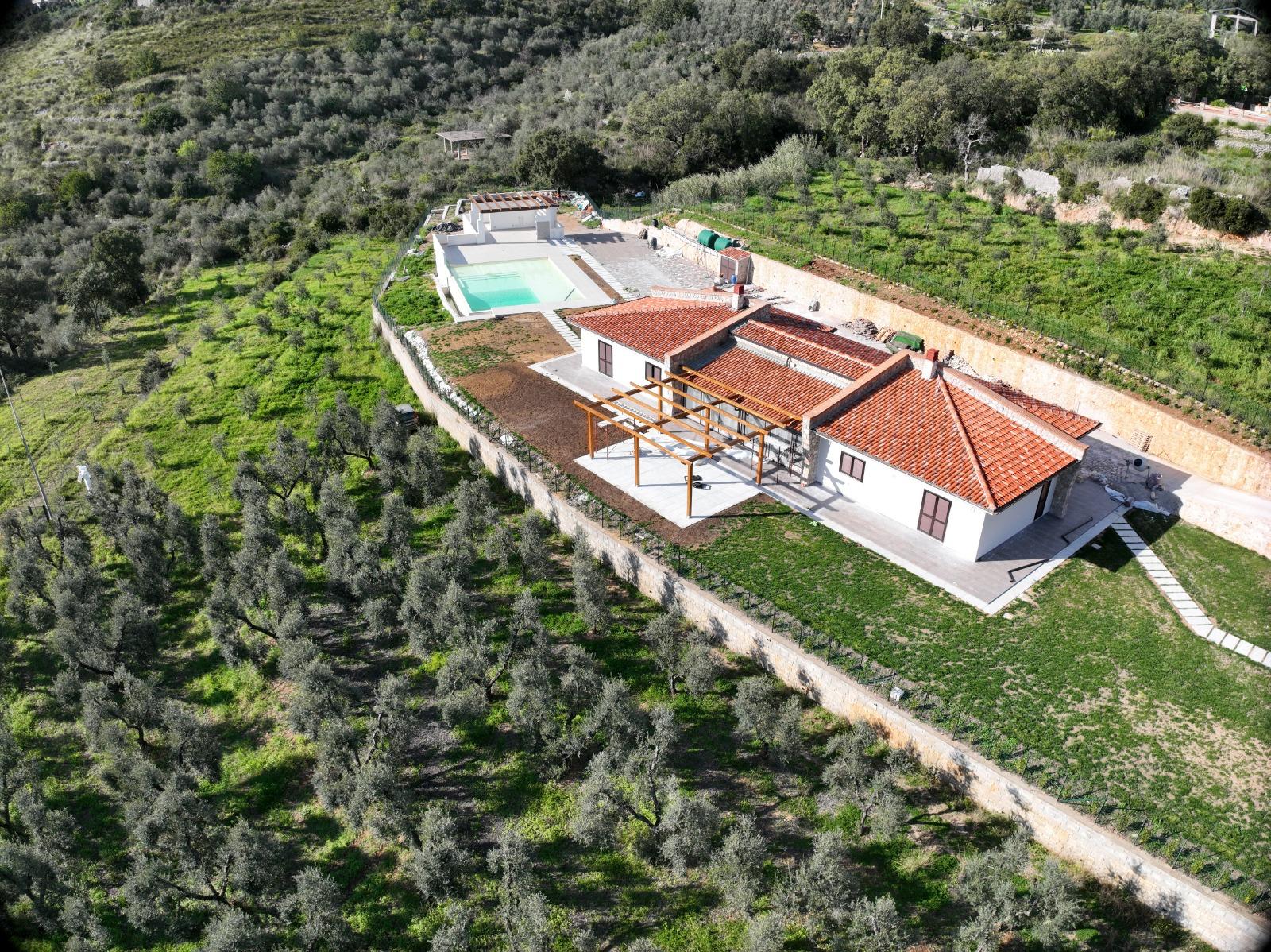 Vista aerea della villa immersa negli uliveti
