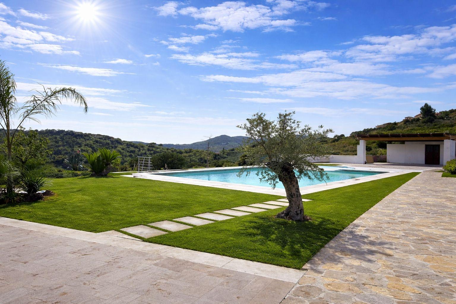 Piscina con ulivo e panorama sulle colline